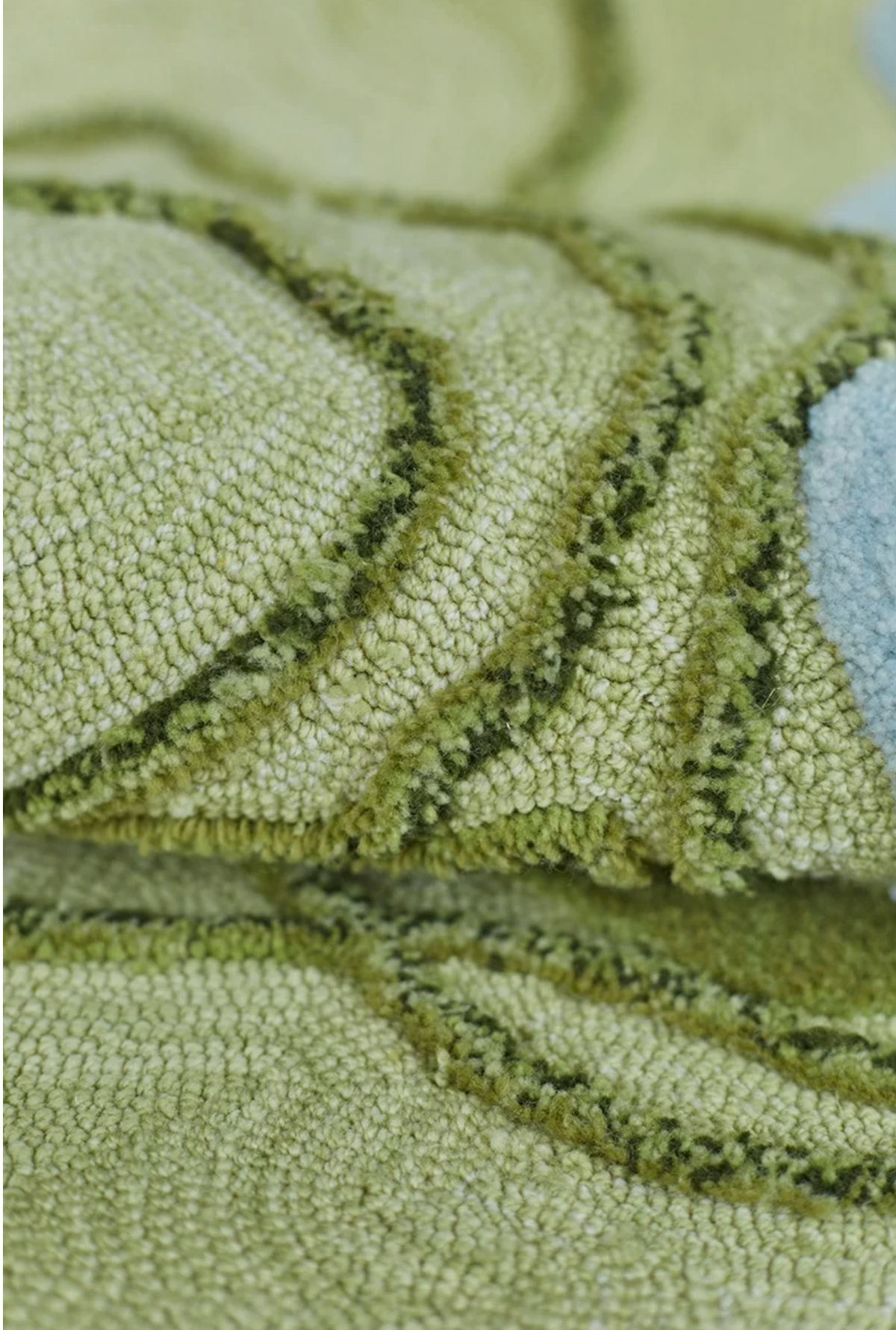 Hewn Earth Studio Strata Meadow rug with intricate pattern, displayed on a wooden floor with natural lighting.